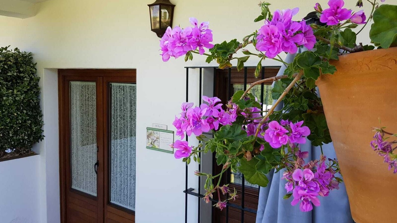 Photo of Outdoor in Aracena