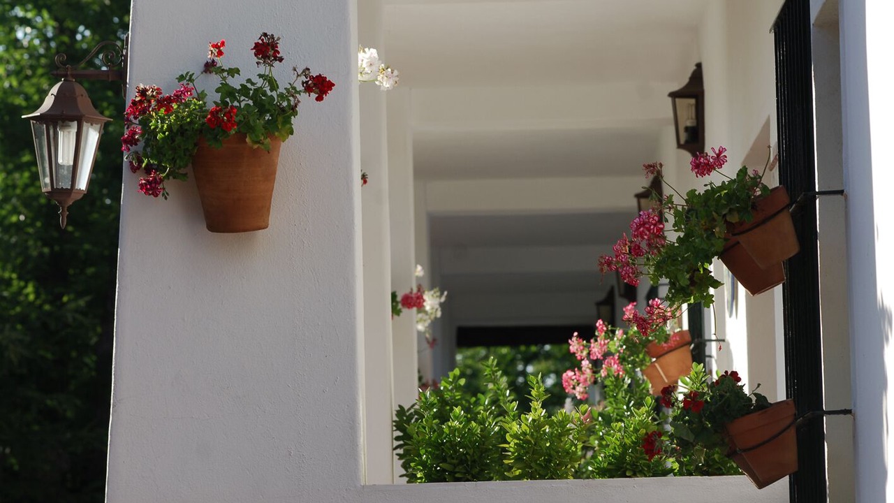 Photo of Outdoor in Aracena