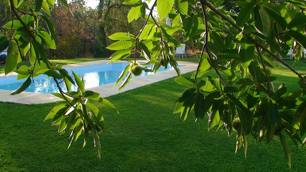 Photo of Outdoor in Aracena