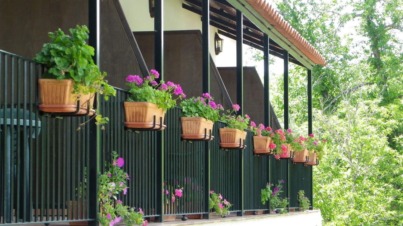 Photo of Outdoor in Aracena