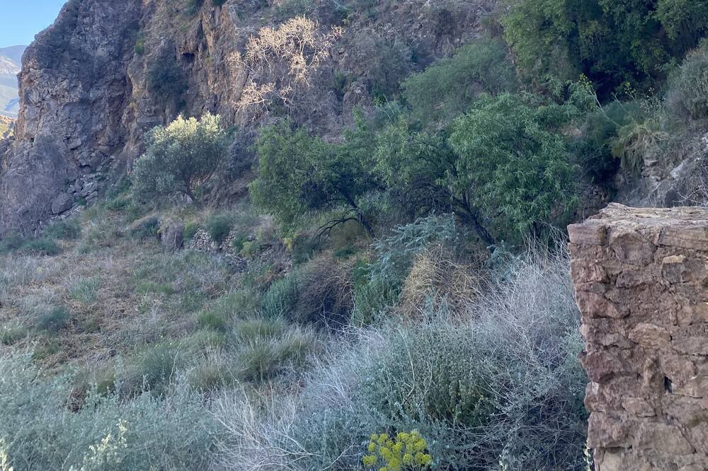 Photo of Others in Lanjaron