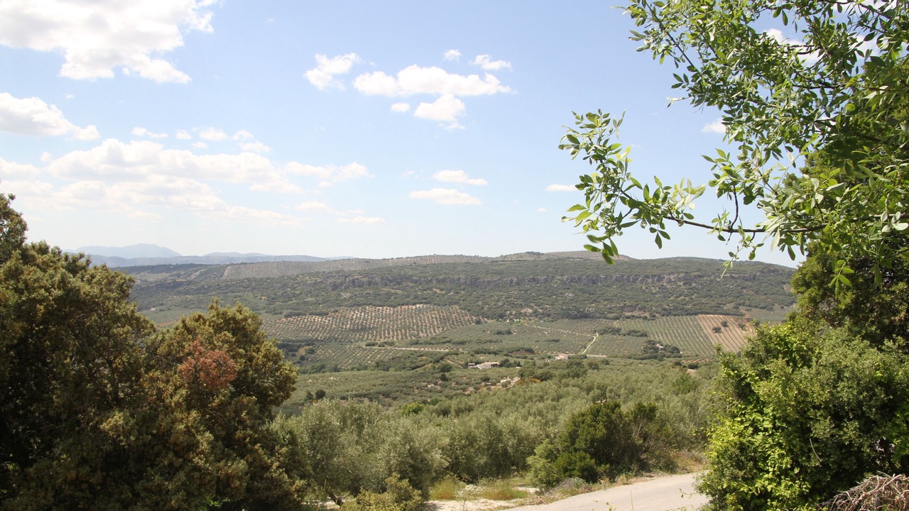 Photo of Outdoor in Montefrio