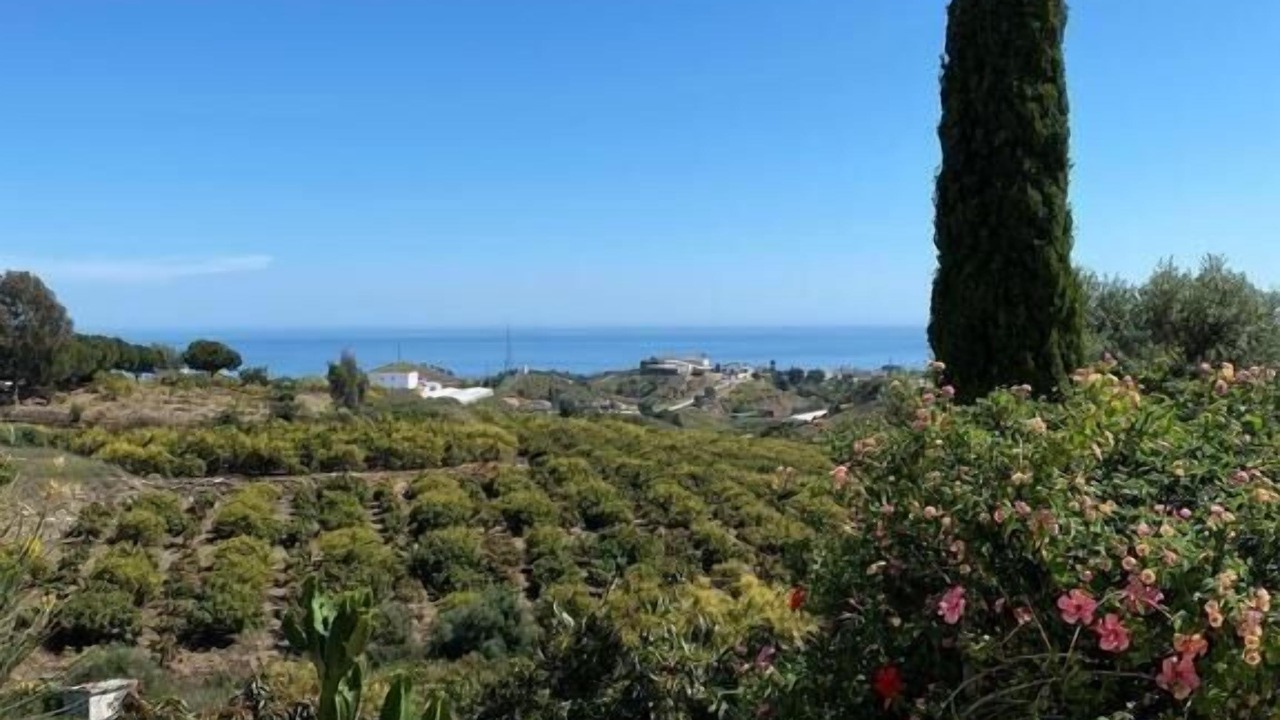 Photo of Outdoor in Almayate Bajo