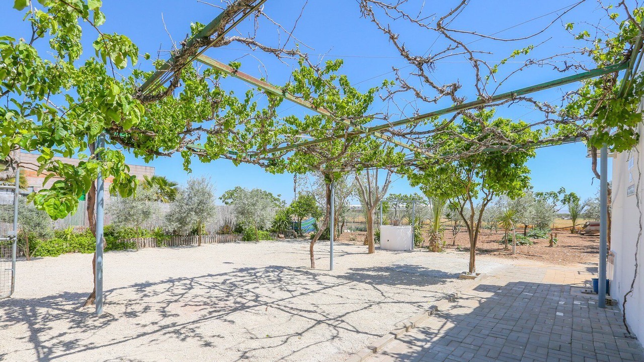 Photo of Outdoor in La Lantejuela