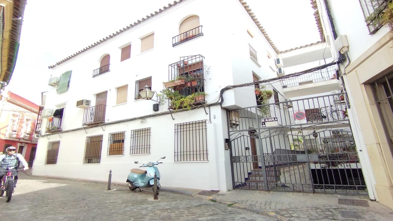 Photo of Outdoor in La Trinidad-San Juan y Todos los Santos