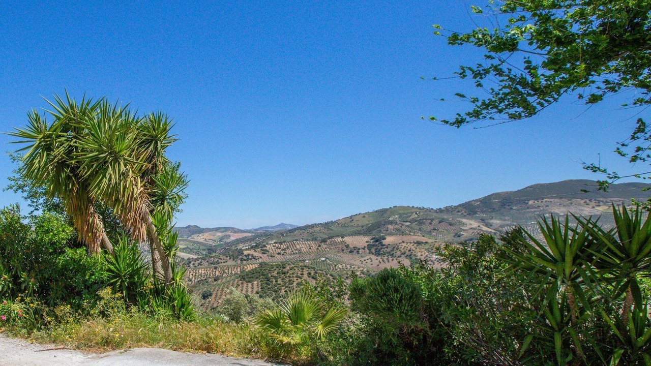 Photo of Outdoor in Pruna