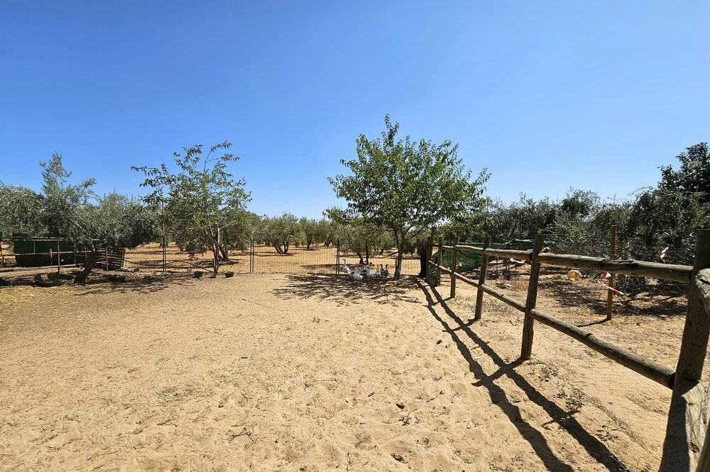 Photo of Outdoor in Marchena
