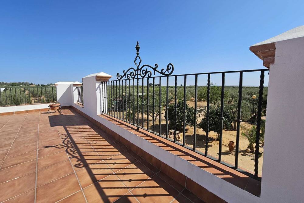 Photo of Outdoor in Marchena