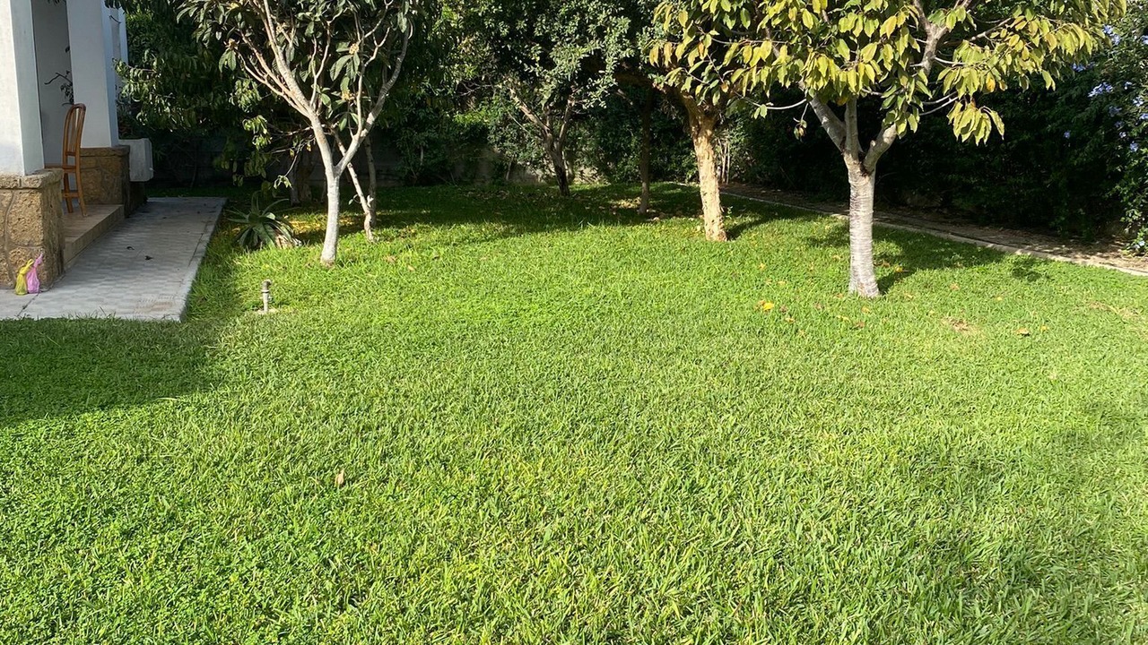 Photo of Outdoor in El Puerto de Santa Maria