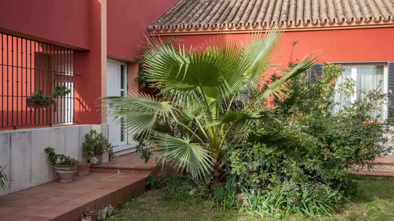 Photo of Outdoor in Valencina de la Concepcion