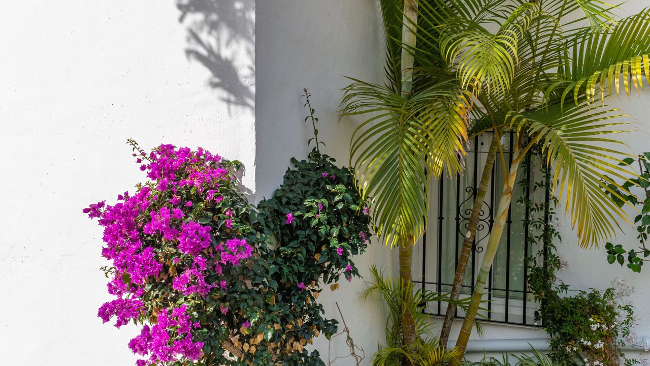 Photo of Outdoor in Oasis del Capistrano