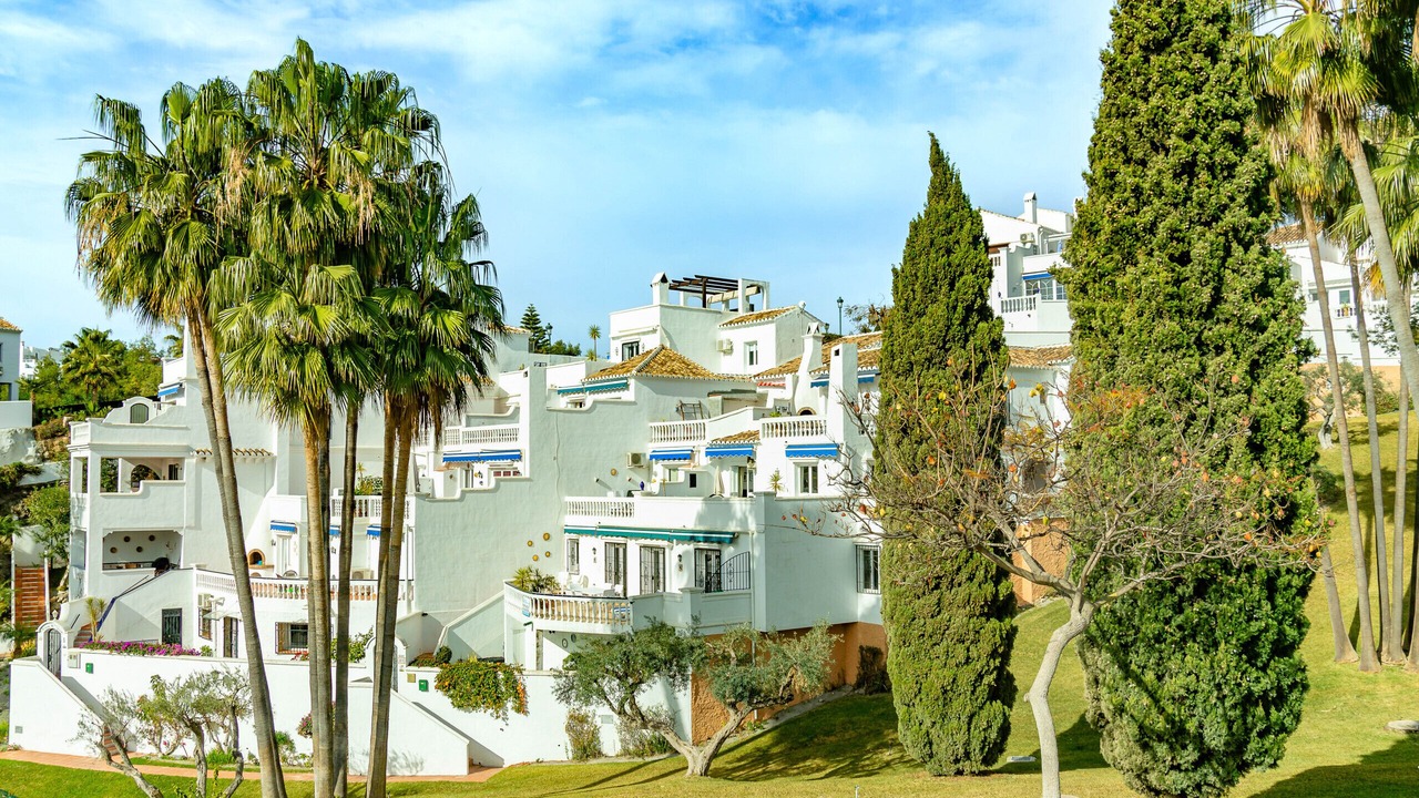 Photo of Outdoor in Oasis del Capistrano
