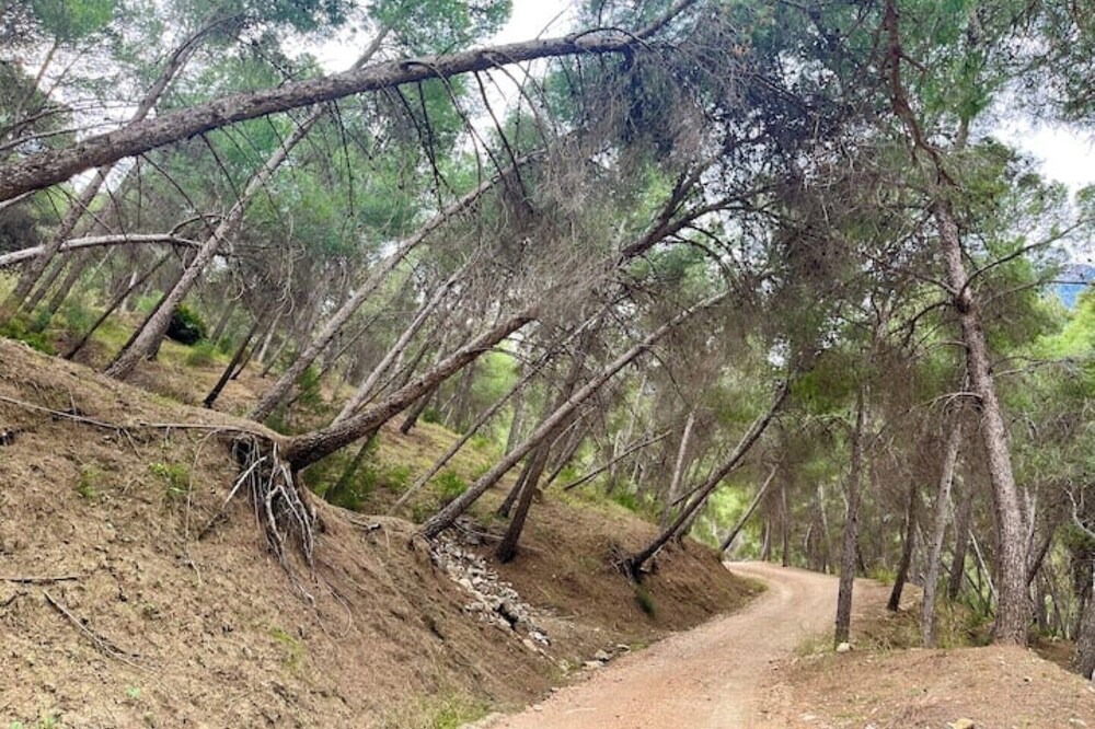Photo of Outdoor in Valle de Abdalagis