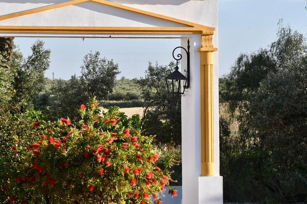 Photo of Outdoor in Carmona