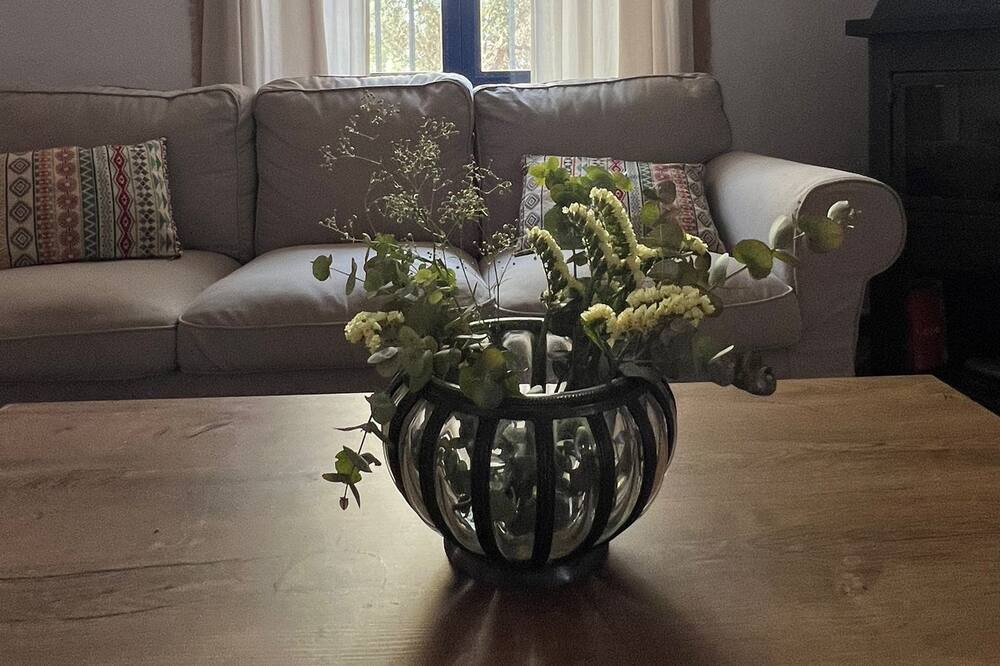 Photo of Livingroom in Carmona
