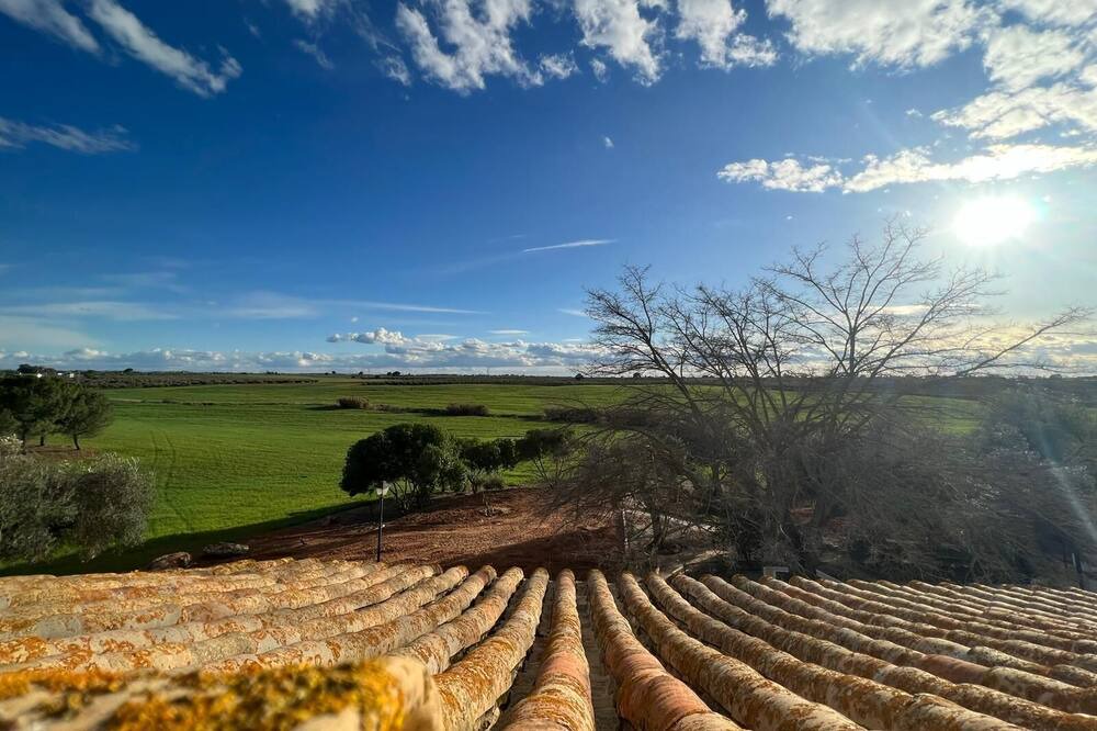 Photo of Others in Carmona