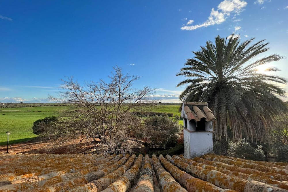 Photo of Outdoor in Carmona