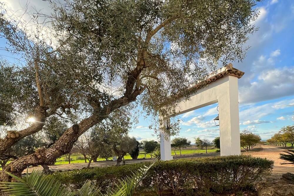 Photo of Outdoor in Carmona