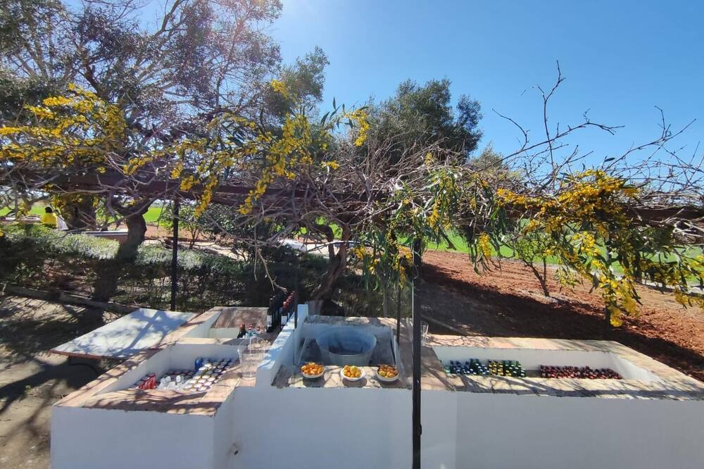 Photo of Outdoor in Carmona