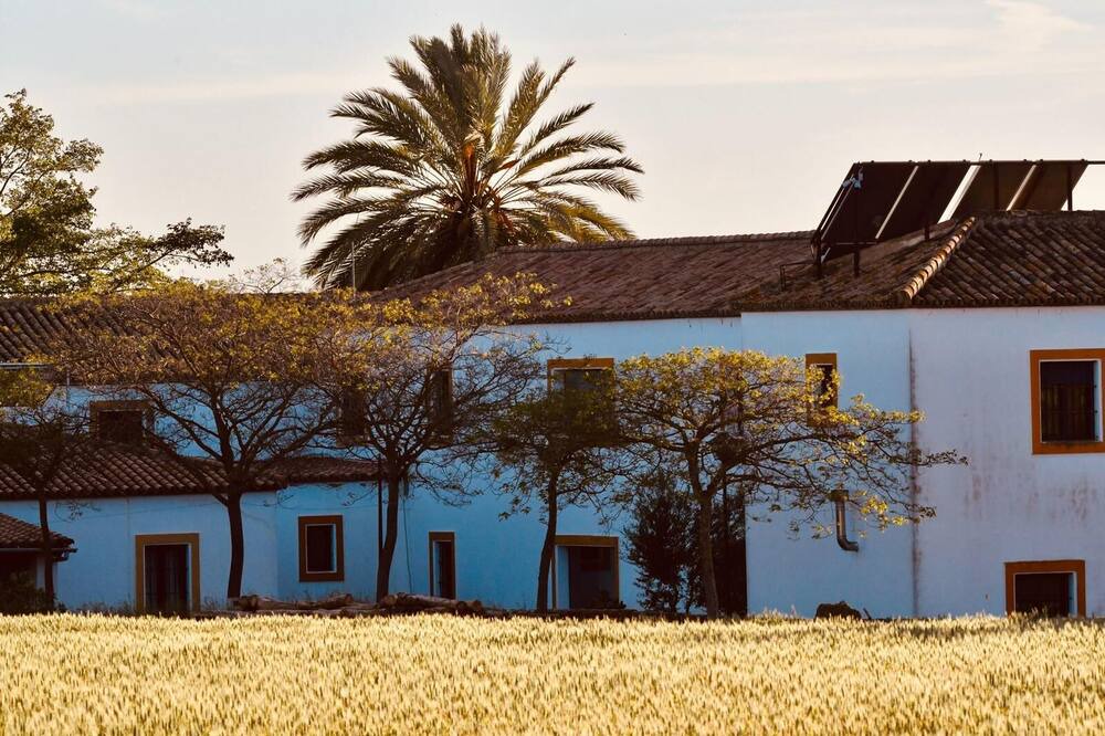 Photo of Outdoor in Carmona