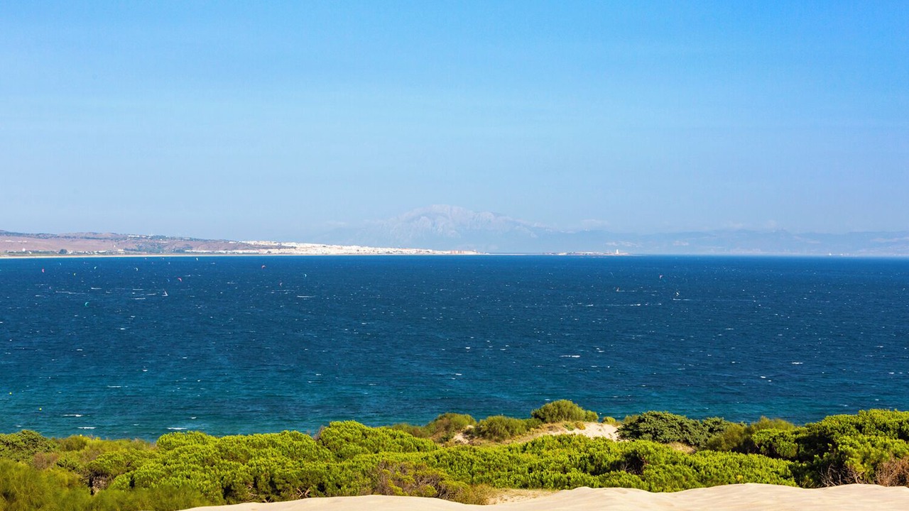 Photo of Others in Bolonia
