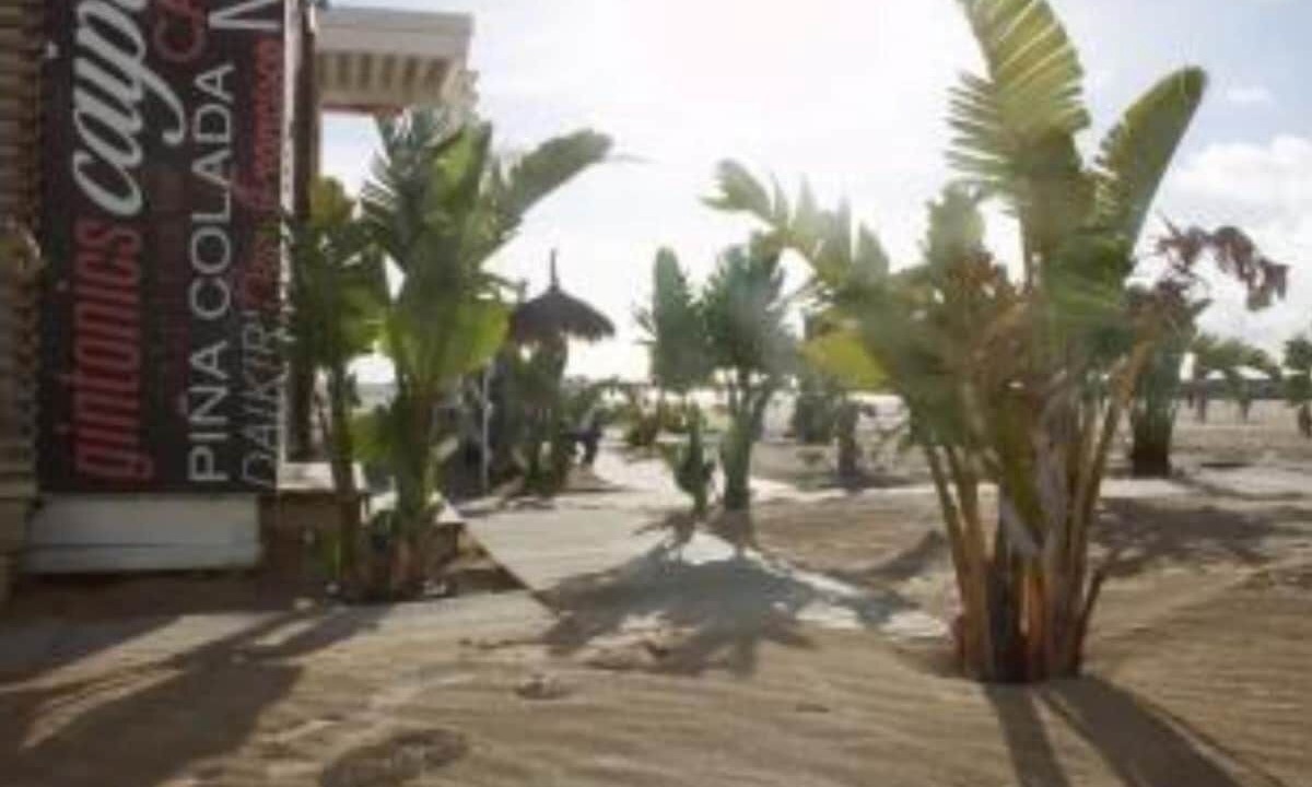 Photo of Outdoor in Valdelagrana