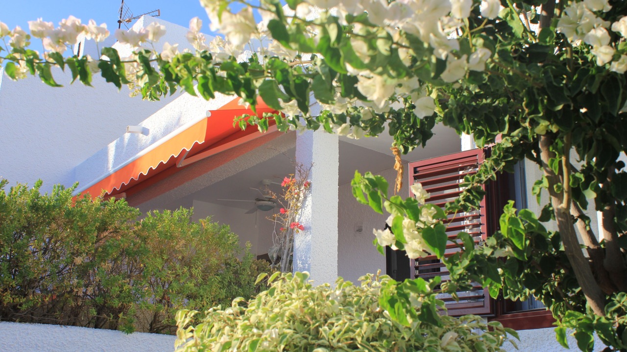 Photo of Outdoor in Isla Plana