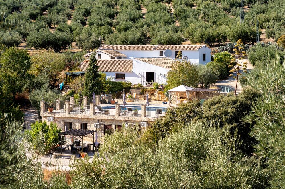 Photo of Outdoor in Algarinejo