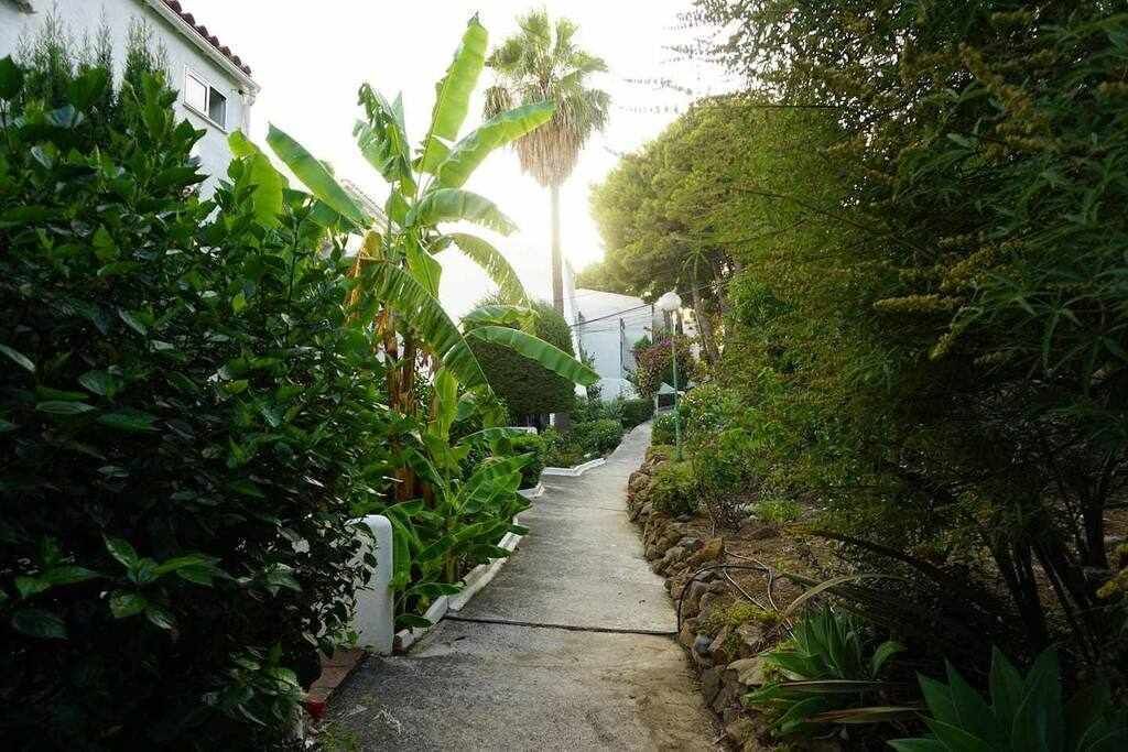 Photo of Outdoor in Urbanizacion Puerto de Estepona