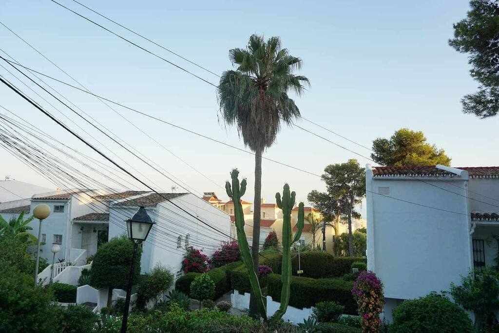 Photo of Outdoor in Urbanizacion Puerto de Estepona