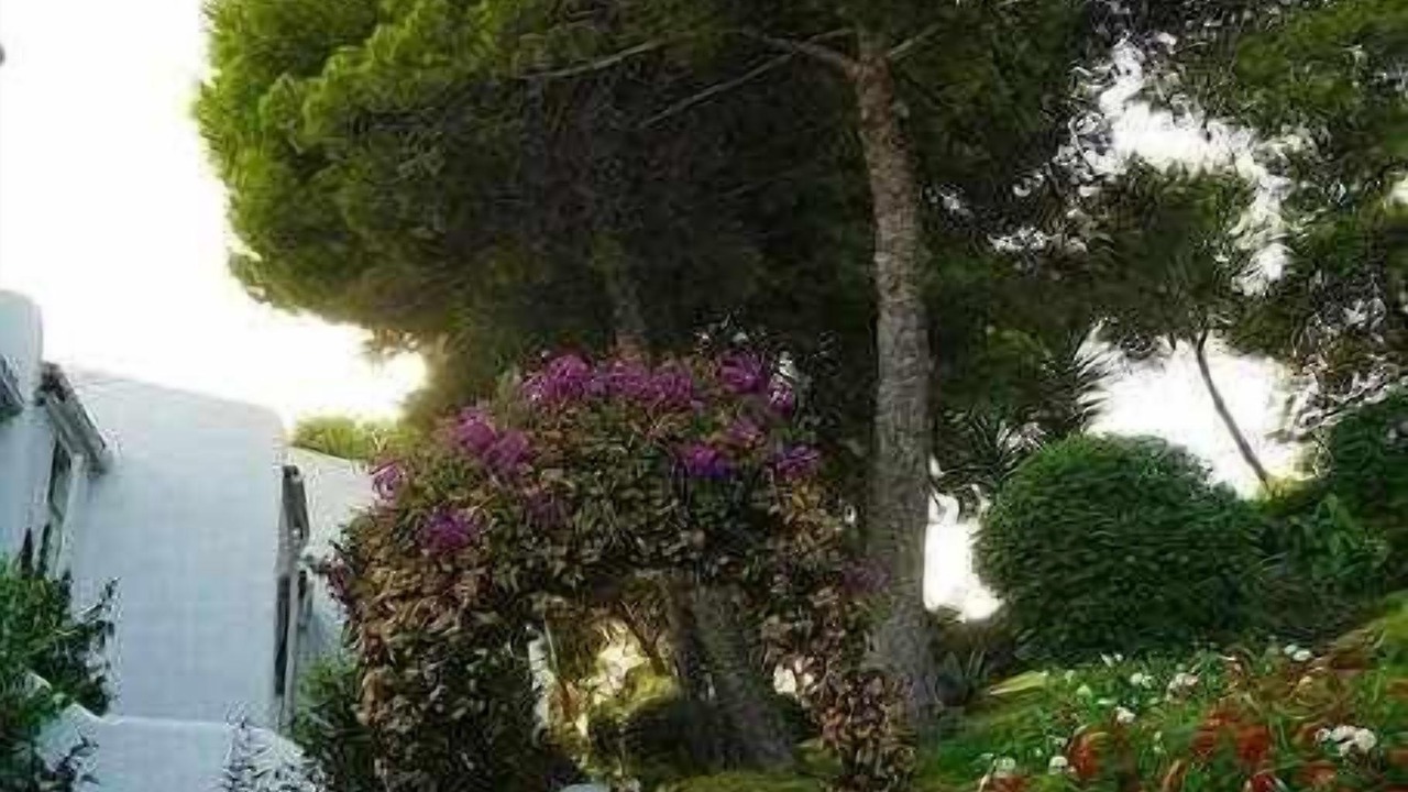 Photo of Outdoor in Urbanizacion Puerto de Estepona