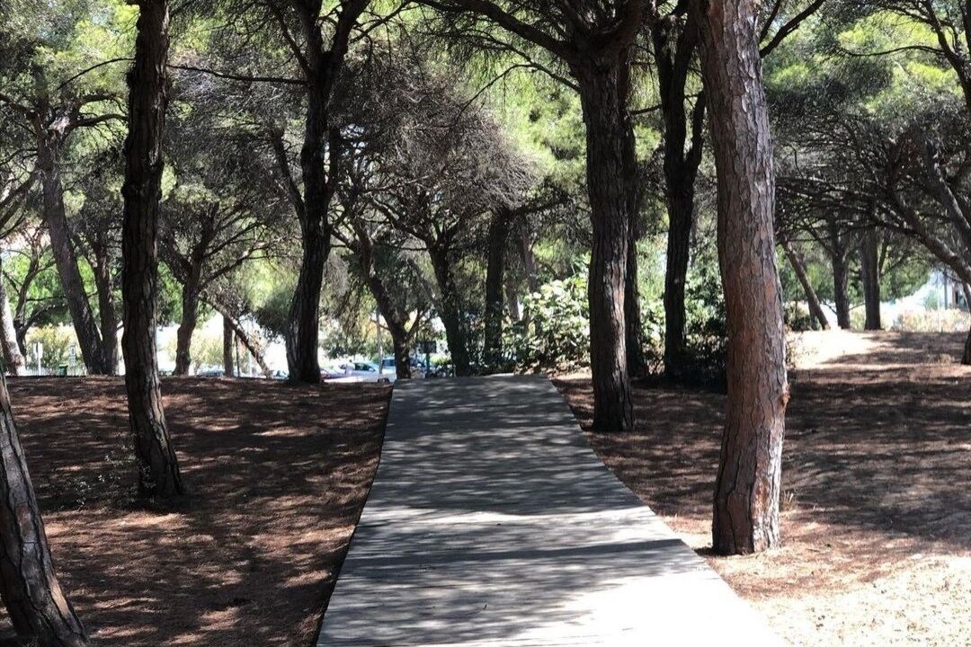 Photo of Outdoor in Rota