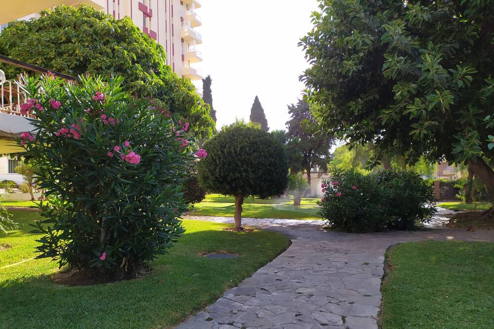 Photo of Outdoor in Arroyo de la Miel