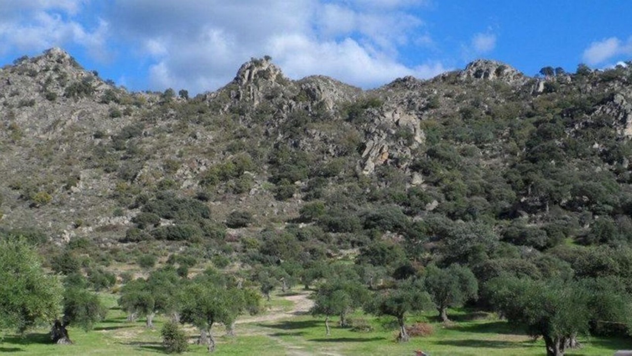 Photo of Others in Arroyomolinos de Montanchez