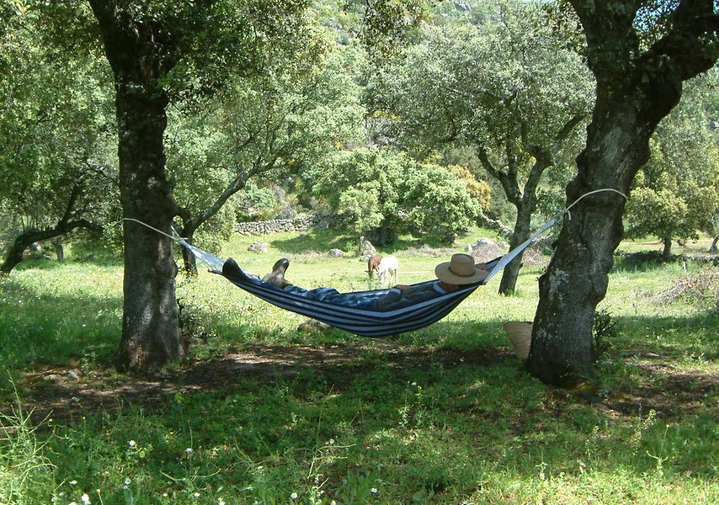 Photo of Outdoor in Arroyomolinos de Montanchez