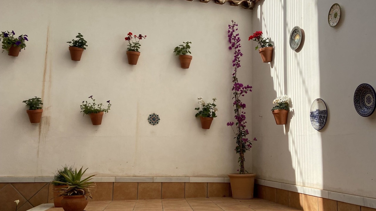 Photo of Patio Balcony in La Trinidad-San Juan y Todos los Santos