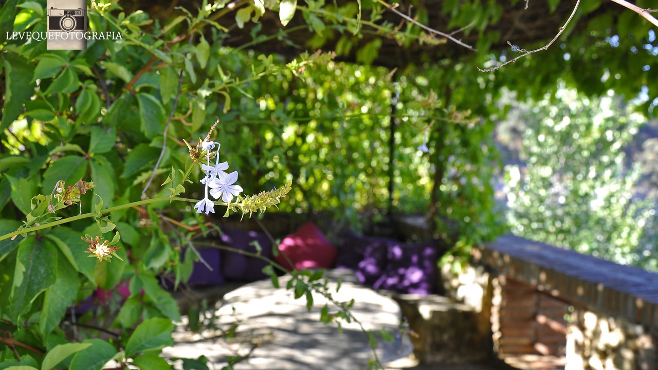 Photo of Outdoor in Arriate