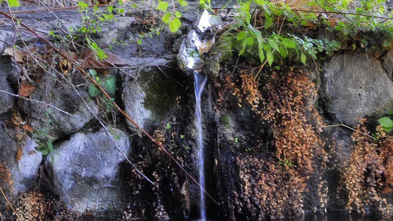 Photo of Outdoor in Arriate