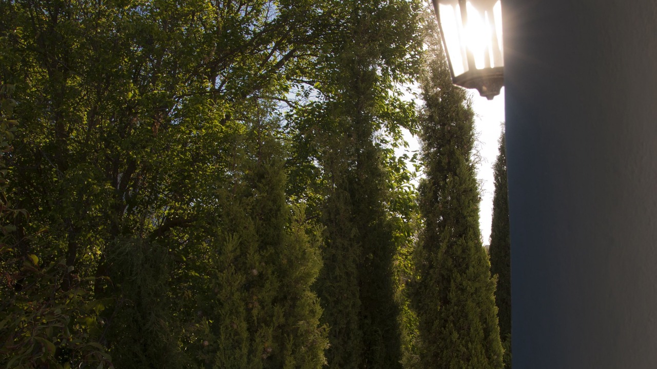 Photo of Outdoor in Arriate