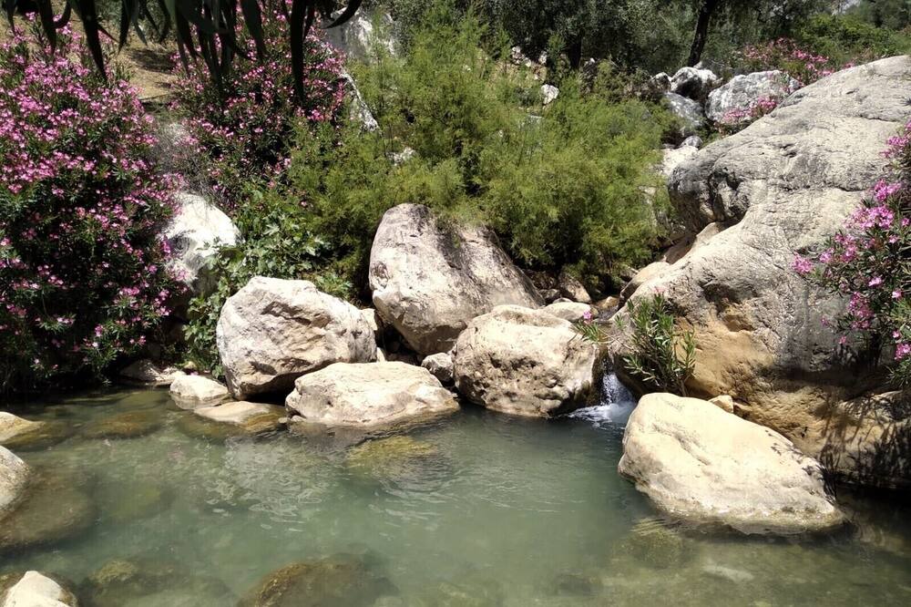 Photo of Others in Periana