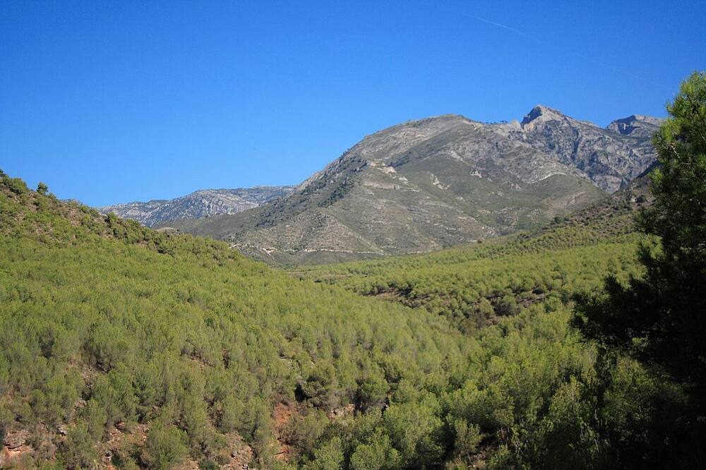 Photo of Others in Periana