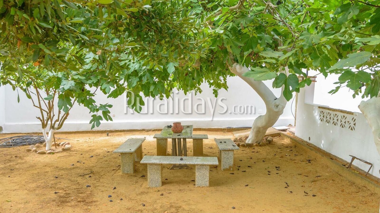 Photo of Outdoor in Montemayor