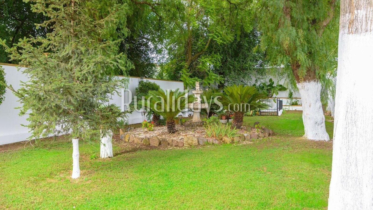 Photo of Outdoor in Montemayor