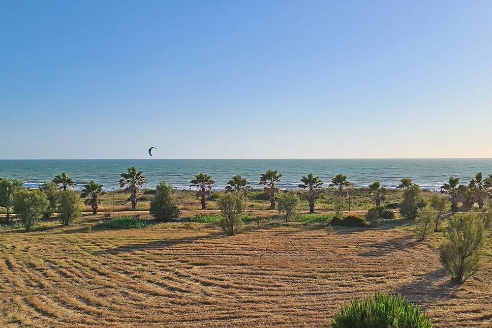 Photo of Others in Rota