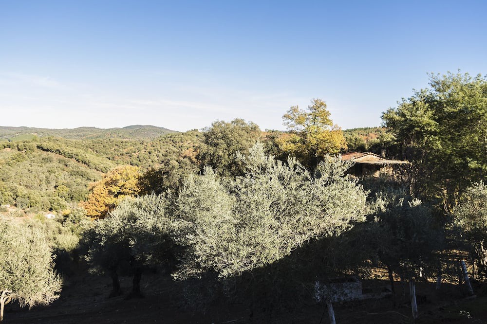 Photo of Outdoor in Jabugo