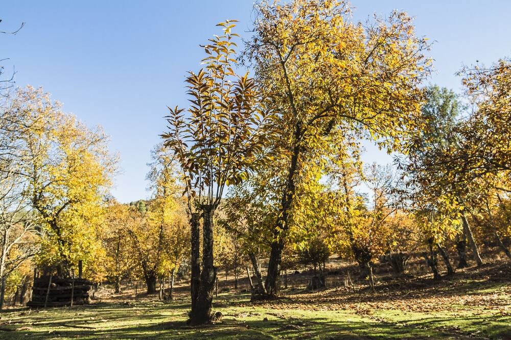 Photo of Outdoor in Jabugo