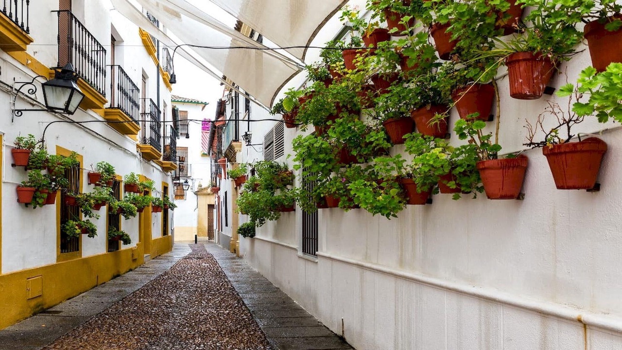 Photo of Outdoor in Ciudad Jardin