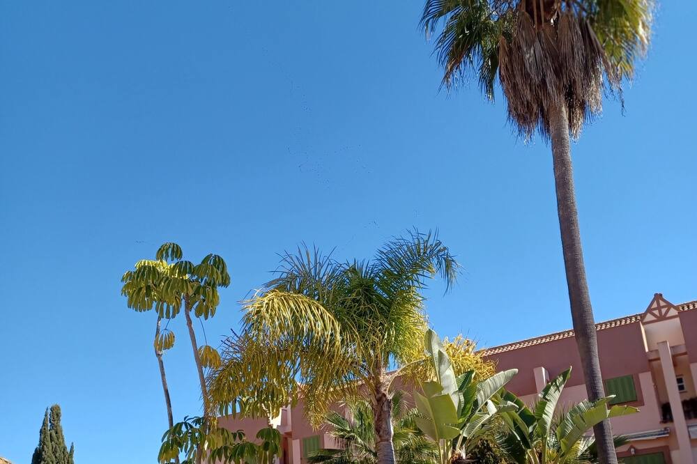 Photo of Outdoor in Islantilla