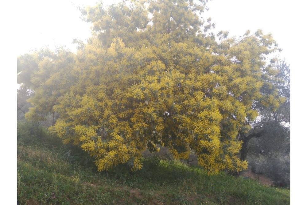Photo of Outdoor in Cazalla De La Sierra