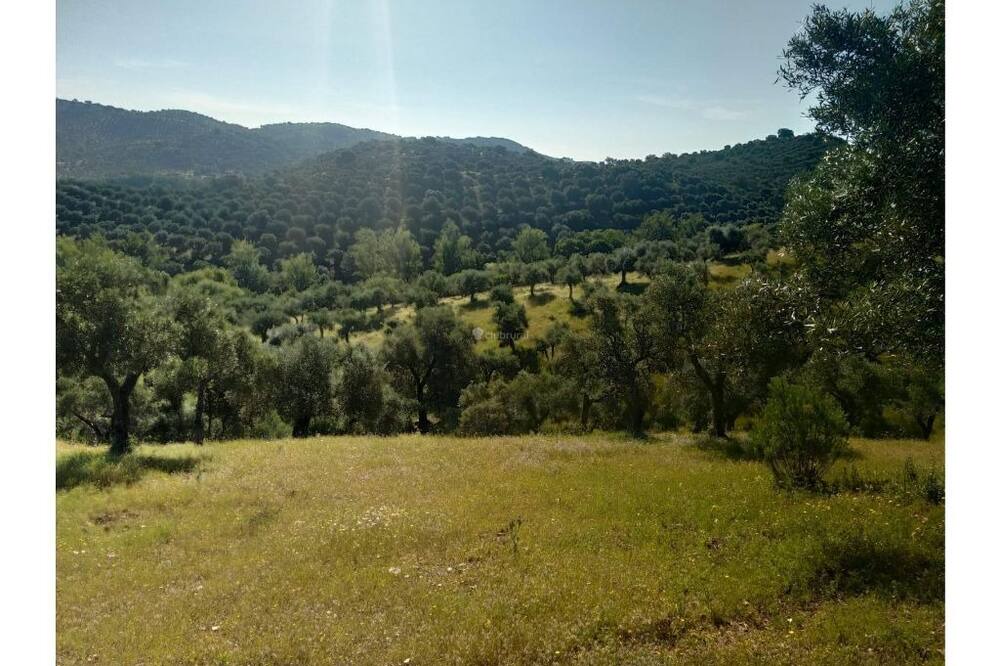 Photo of Others in Cazalla De La Sierra